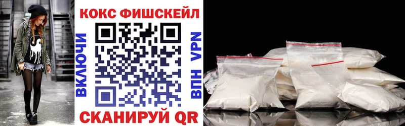 COCAIN Fish Scale  Купить закладки  Мамадыш 