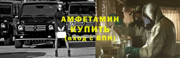прущие грибы Куйбышев