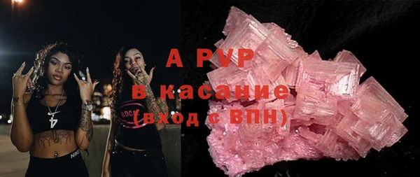 прущие грибы Куйбышев
