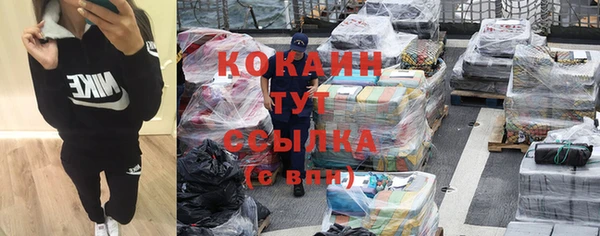 прущие грибы Куйбышев