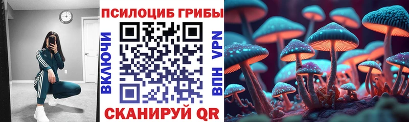 Купить где  Мамадыш  Галлюциногенные грибы мицелий 